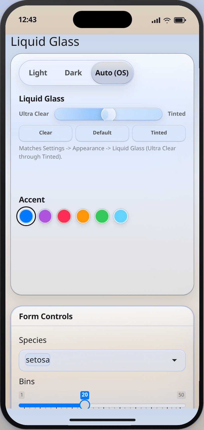 Basics demo in a phone-sized frame